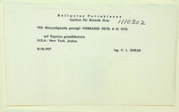 Image Associated With the Occurence